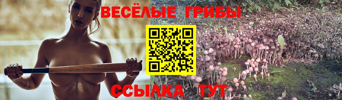 Галлюциногенные грибы Cubensis  Псилоцибиновые грибы мицелий  Вход с VPN  Большой Камень 