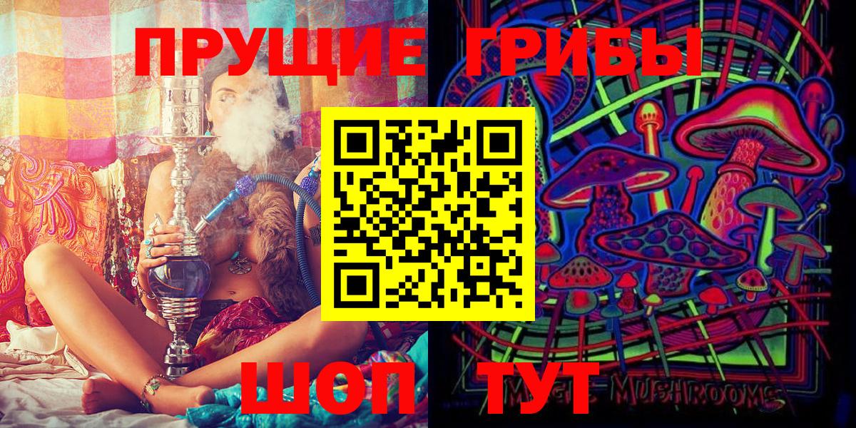 Псилоцибиновые грибы Psilocybe Большой Камень